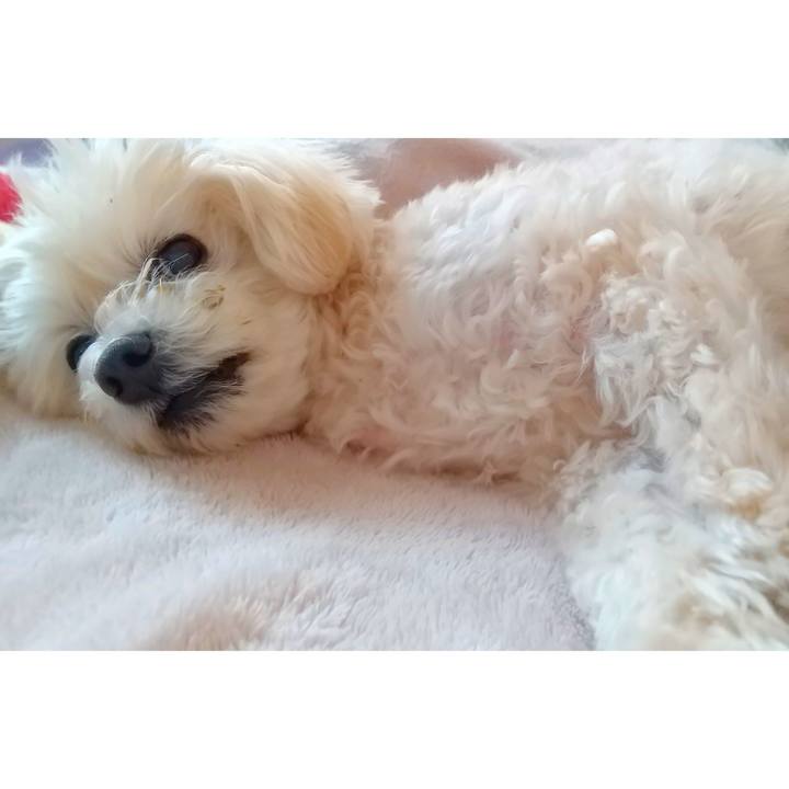 5f301bd5 654c 4a1d a254 b76887821362 1672540300374