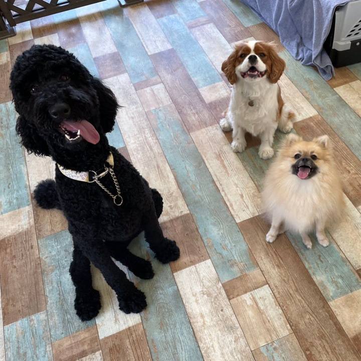 5f3020cf 21e2 451a 93e0 de58d855a932 1636634682243