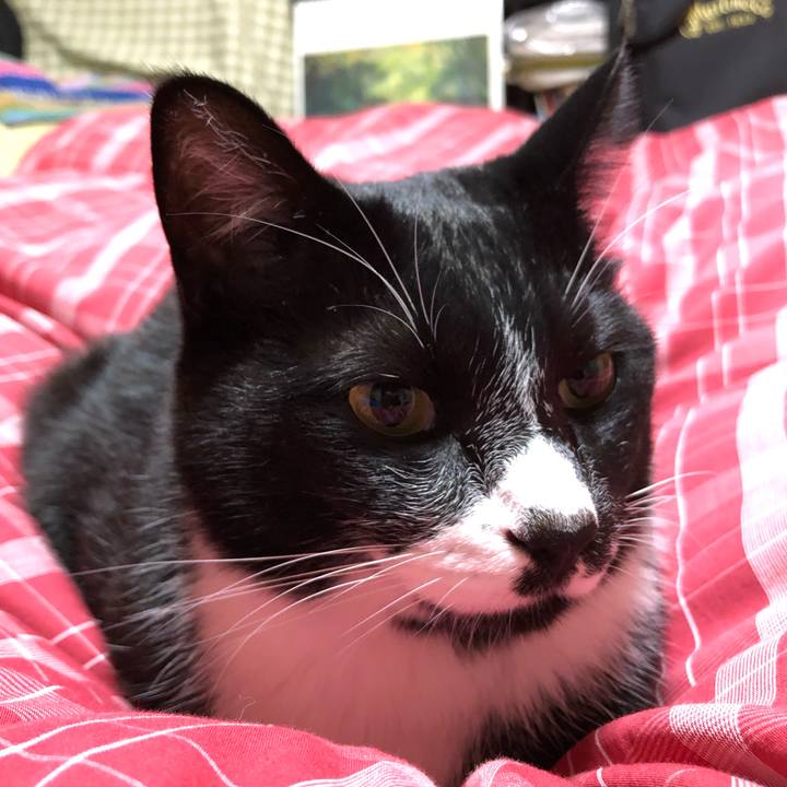 5f30566c fa49 47e8 bd6e f9c780bef100 1605065747254