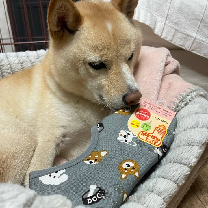 5f305970 139b 4c08 b6c6 d1ffa8d8af7b 1665659265828