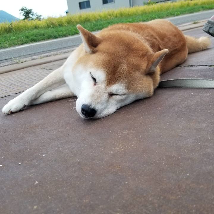 5f30600f e3a8 445d 909c 2e6a17e99464 1569743038057