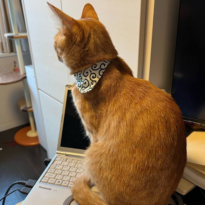 5f306ae0 7375 427d 9922 ddf22a98ded7 1648769216468