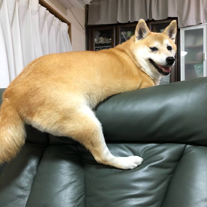 5f3077db ba59 4d47 95cf 5a560e6bd5a4 1596463917198