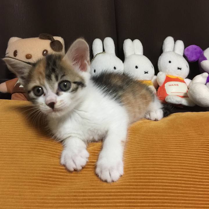 5f3081cb 8655 46b2 bc63 e30598cc981f 1628757234140