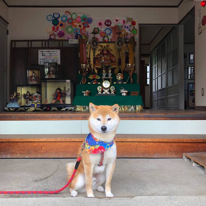 5f30a3c4 e87f 4fa4 aad3 06838809871b 1557047063278