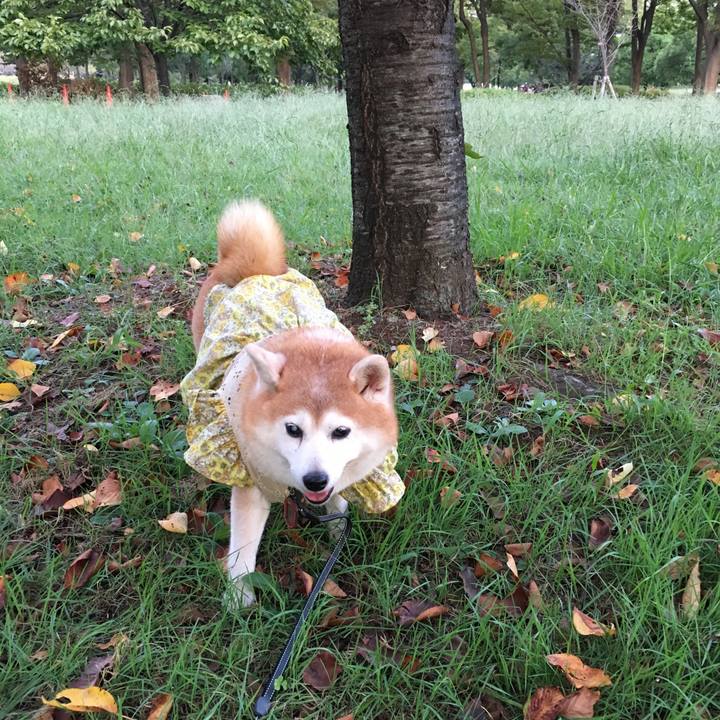 5f30b302 f8f1 489a a39b df0ee92aaed1 1570340703067