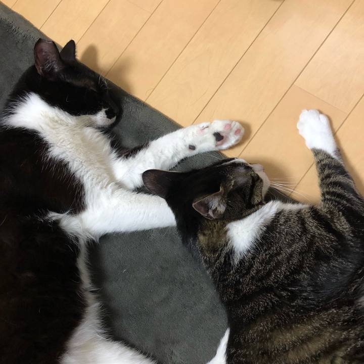 5f30b580 c819 4079 9ee1 a0e74e836dc4 1556461072529