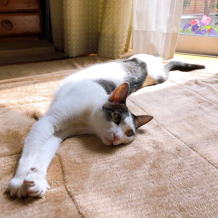 5f30ee28 bd81 43e7 af72 1ef3f5f36094 1618375033115