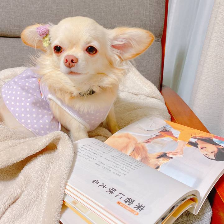 5f31037a 724d 443c b2ce 7ddd49f9fe79 1638442822189