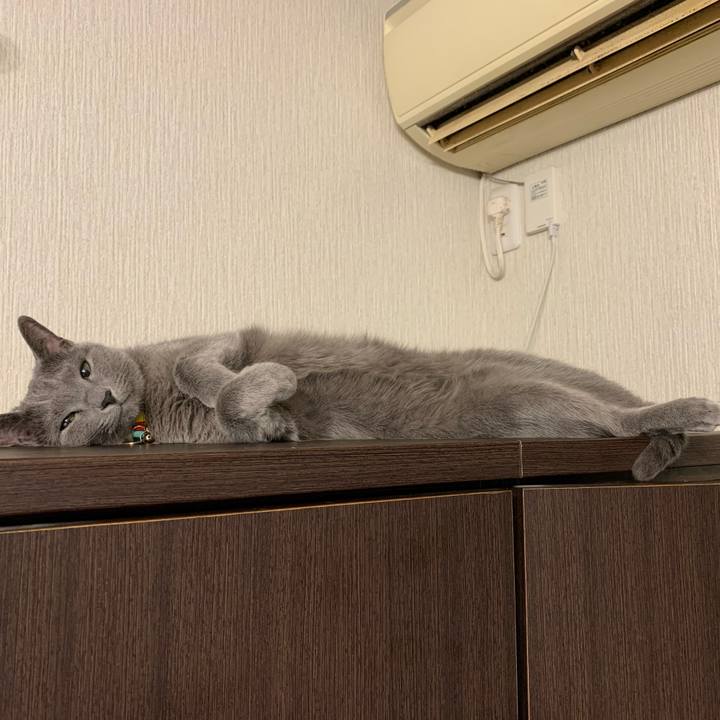 5f310e32 2148 4e1f a2d5 ae565cc81d91 1674078782158