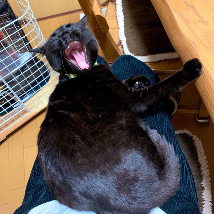 5f312a6e 7806 45d5 983b 4fb4b95de17f 1551450726932