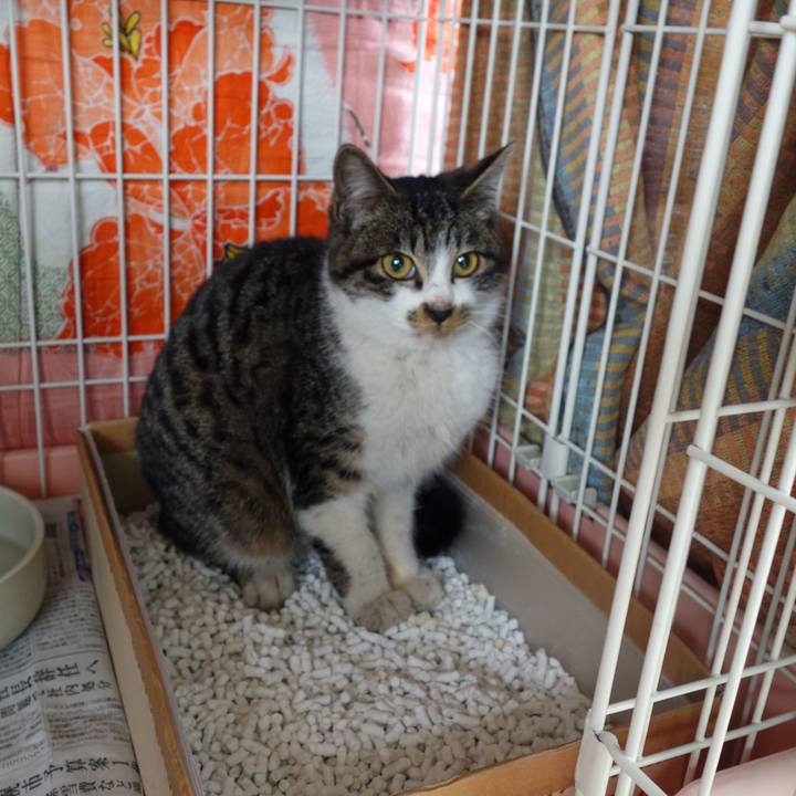 5f31b646 4701 4c6e b3b6 d5420c3130f8 1756896981273