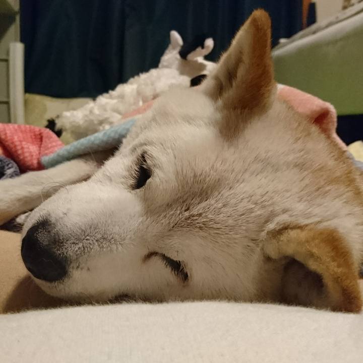 5f31e3dc b322 45c7 8338 efc5d9e74994 1508065222484