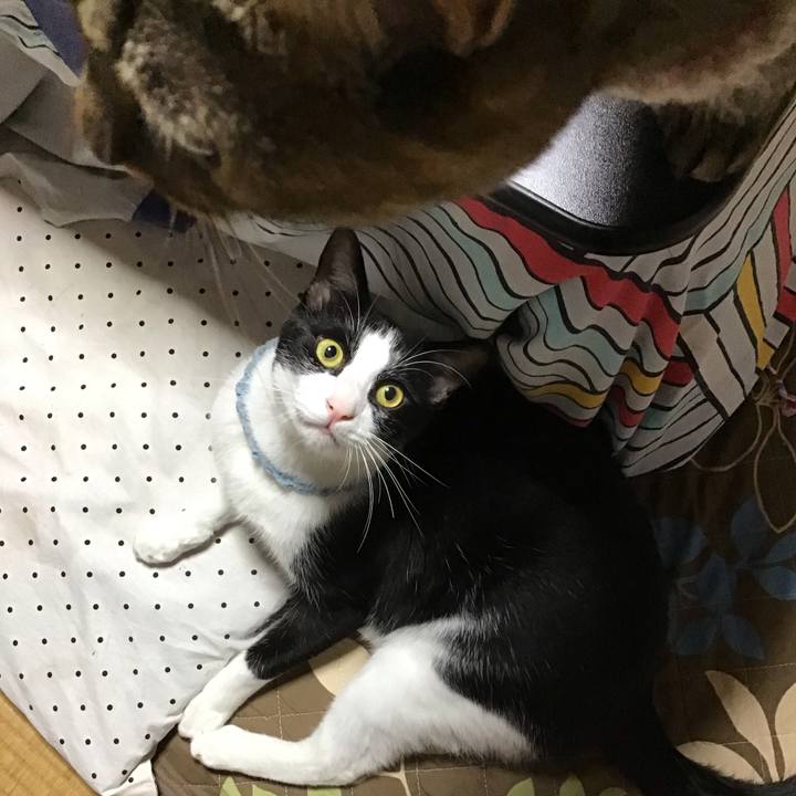 5f32176f f652 40c5 8bf9 21e2a79da142 1665489072553