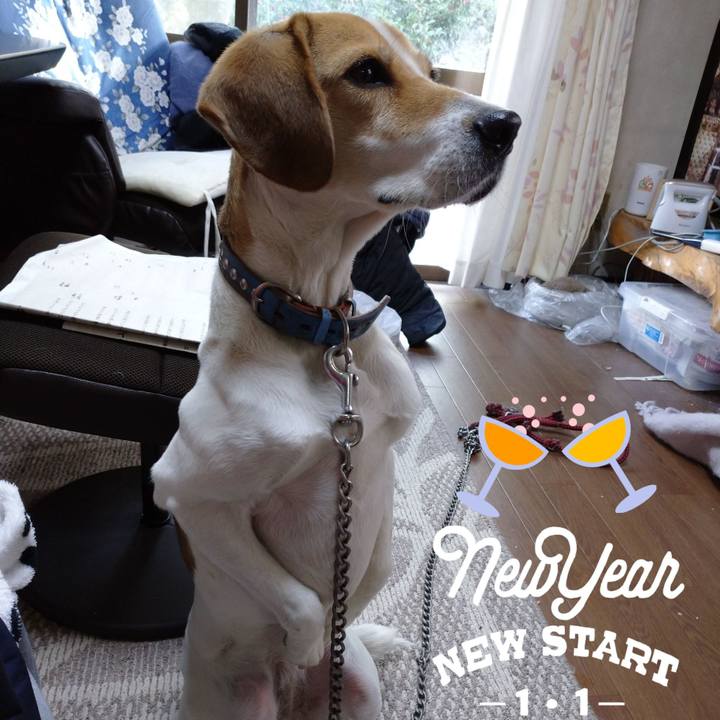 5f324386 ebe2 45c2 8f19 f237d81f8489 1609471200117