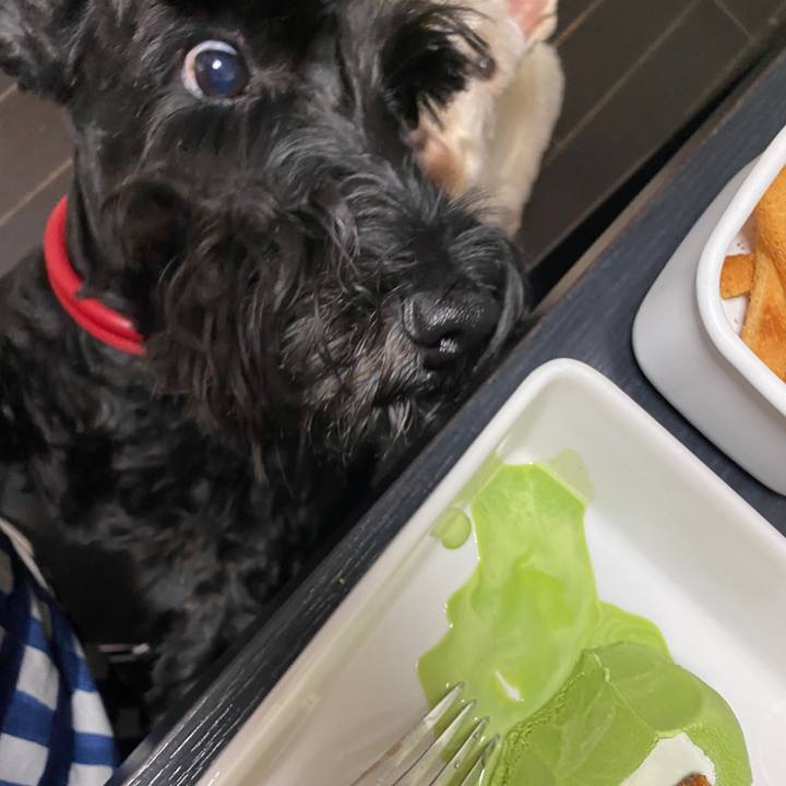 5f3285ad 20bf 4d5c 874c 17ec09d4779a 1655961107653