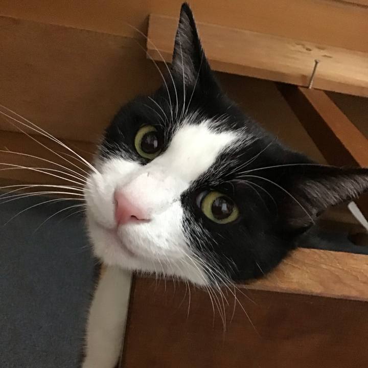 5f329b33 ff65 4377 af7c 8d1b786487ae 1753345134381