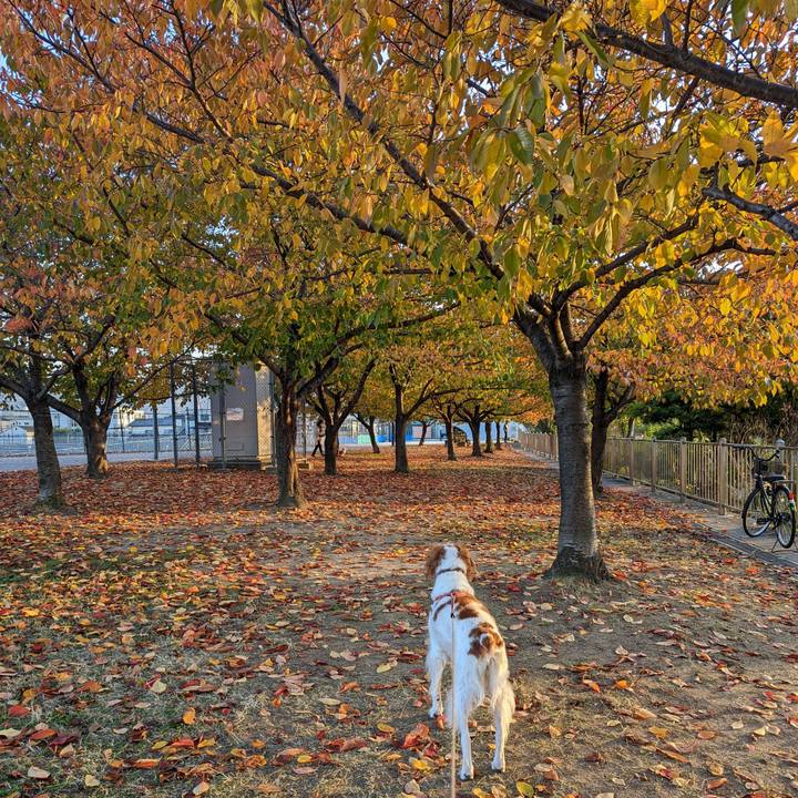 5f32b0d5 3638 4766 a223 e89d31760456 1637224755598