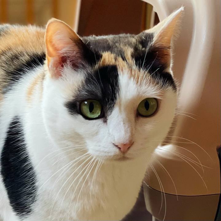 5f32b2bf d70f 4be8 9b75 a209f272a5ec 1628907155860