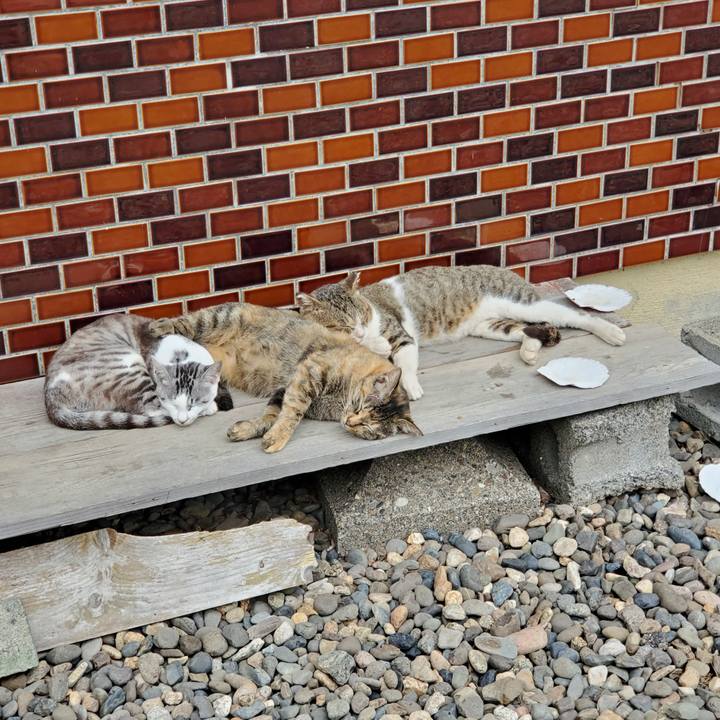 5f32b4fc 4d52 482e 9a3d 31cc4d60d11f 1756129134755