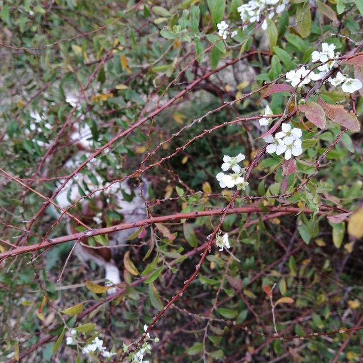 5f32b8bb 5140 421e ab87 0c7e6a88f230 1605864541153