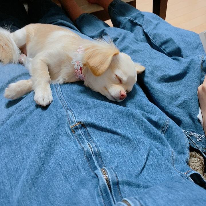 5f32f3f0 1f01 4c9c 9ff9 1c8de4b21e72 1613998724498