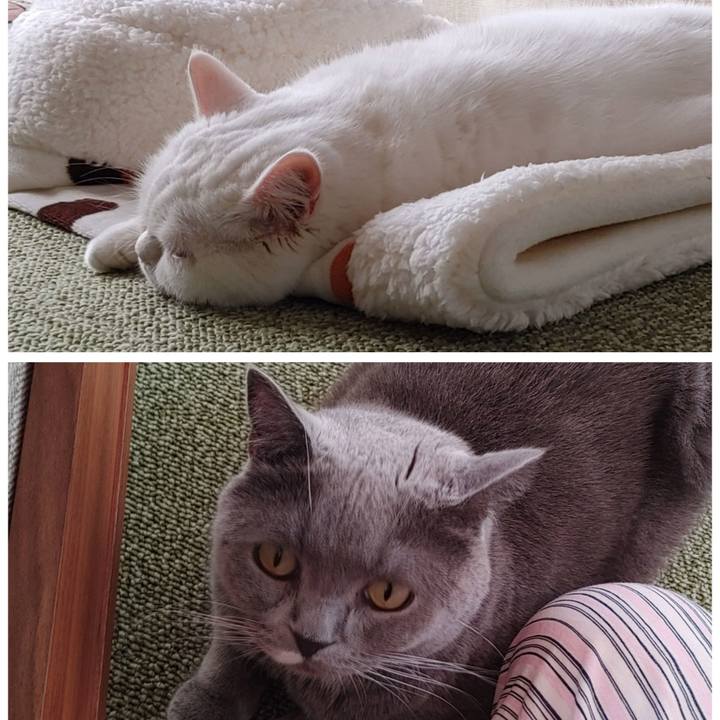 5f32f485 8a72 41a9 9acc e74b6a7b4a2e 1635549511392