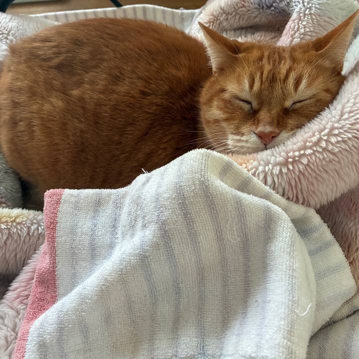 5f334e32 2347 4d16 bb69 25895995625c 1771052566184