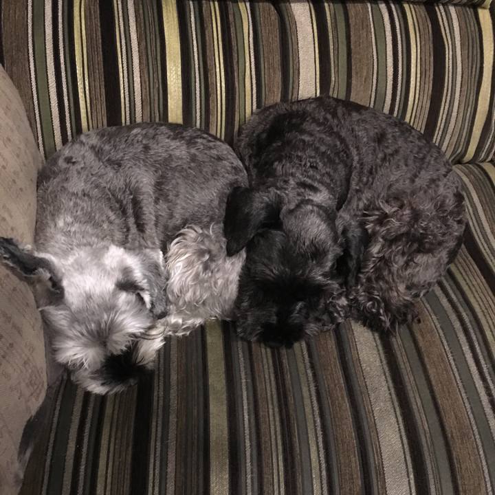 5f335151 6c7d 4eb6 acbf af07a0cc00d9 1508570649763