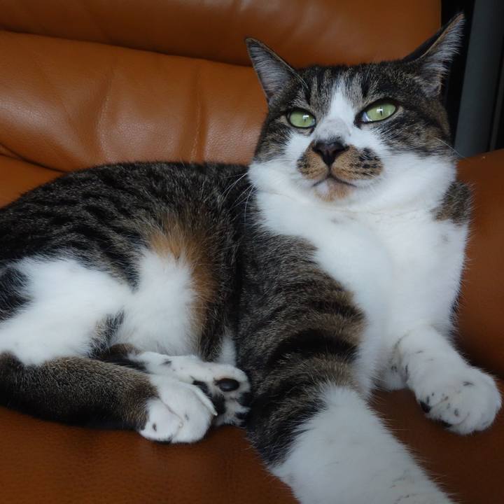 5f33590e 181b 4b09 ba10 7fd385ea4bd5 1760161152086