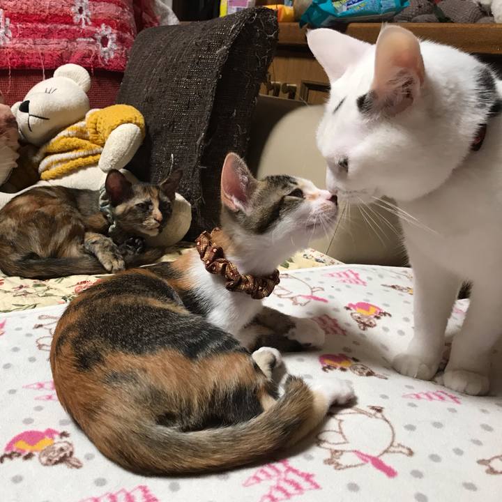 5f33699a d2fa 4e14 8590 ec6693e4c092 1600614810421