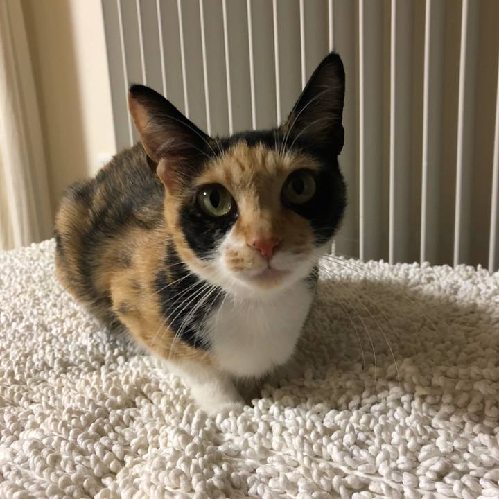 5f337df7 706a 430c b17e bd7f626ca1a9 1550747181420