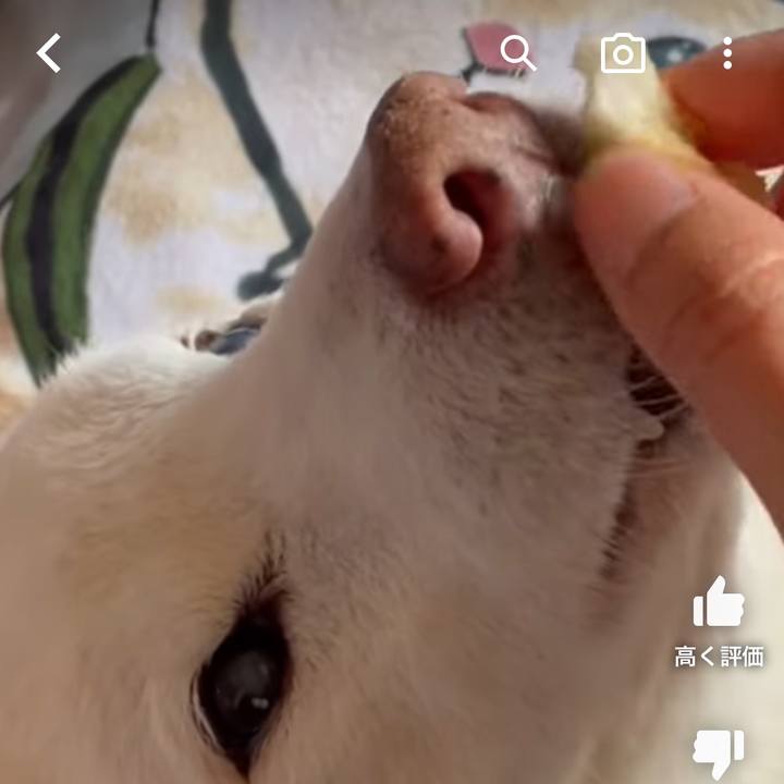 5f3390d3 ce60 4d00 9a48 8a7c6370c506 1679818778598