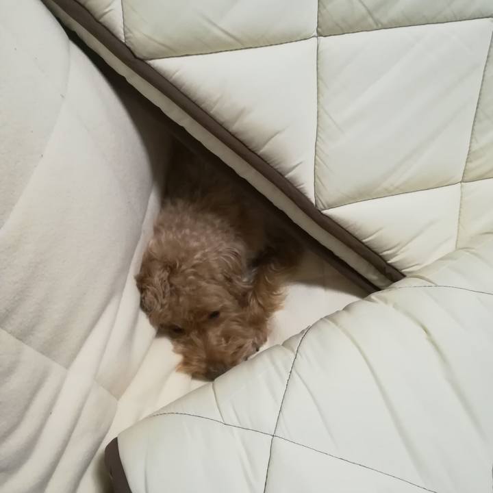 5f3396b2 6842 4d25 949a 72c10099e7f2 1548851106266