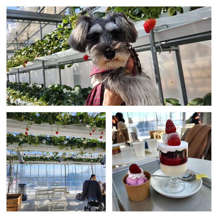 5f33f242 85c0 4e43 8bbb 58aadbce74ad 1708163244034