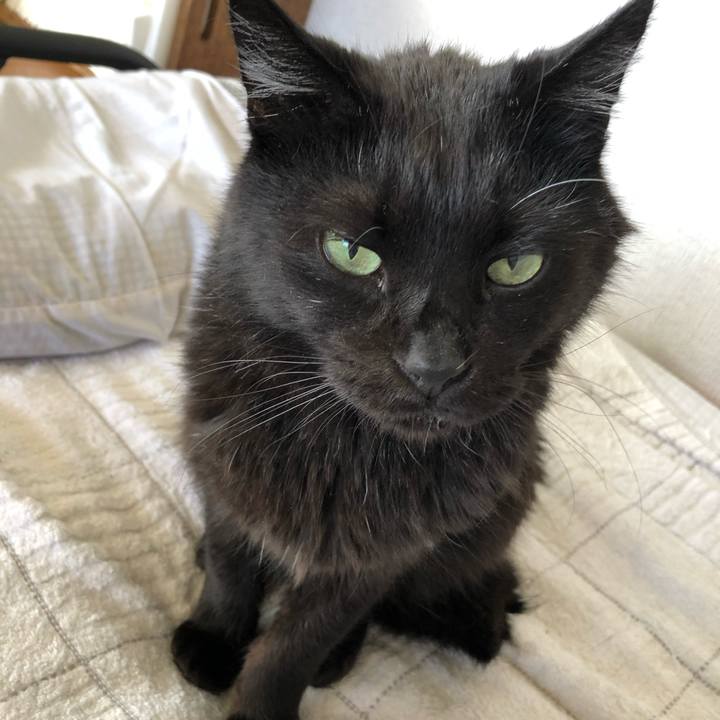 5f3469d7 1195 4408 adc4 75057e947a0b 1596935333416