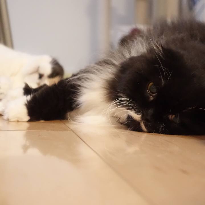 5f3472af beb9 4beb b2bf 8e3240c968ba 1530370408172