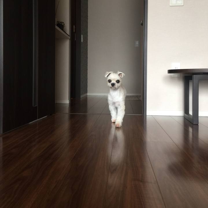 5f349716 3f68 445e b82c 168817821c97 1538288886104