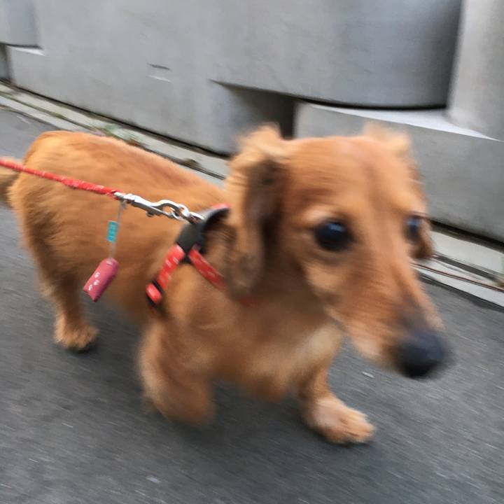 5f34be2b 2f10 468b a834 43ee8befc1c4 1586083943429