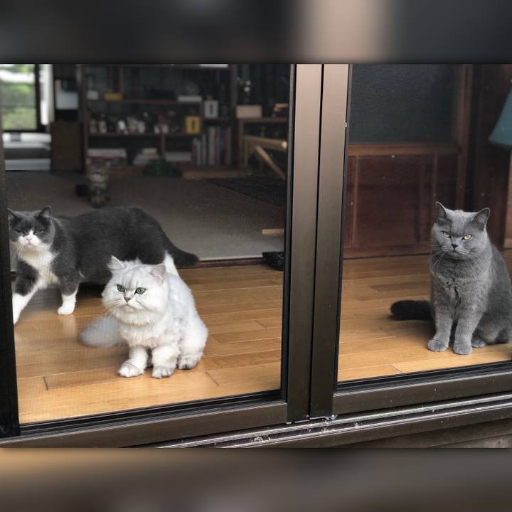 5f34da1a a070 4a99 99f8 c089c383b7ea 1560563001114