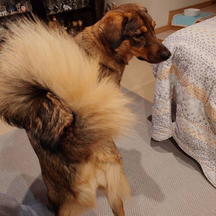 5f34e574 7222 42dc 8b20 bc0de2fac359 1761658917803