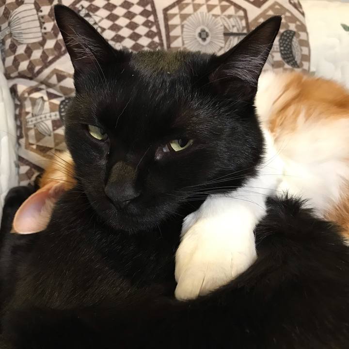 5f3513c5 d0d2 4a2b 9564 5e9b86d8d679 1605620062557