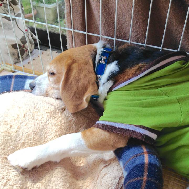 5f353b74 4e16 4549 8486 df78f0256bac 1744867480347