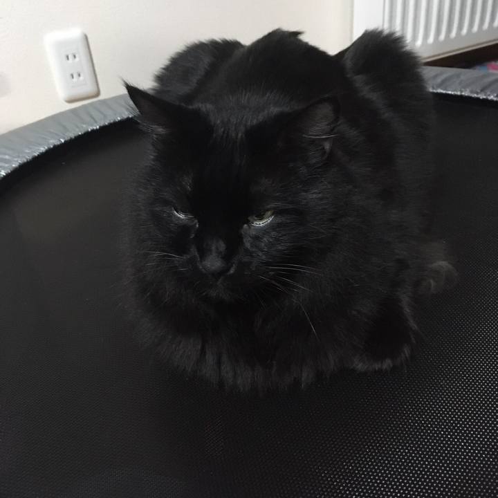 5f3549d8 d7ac 45fb 9467 7961fd272c9f 1511179071486