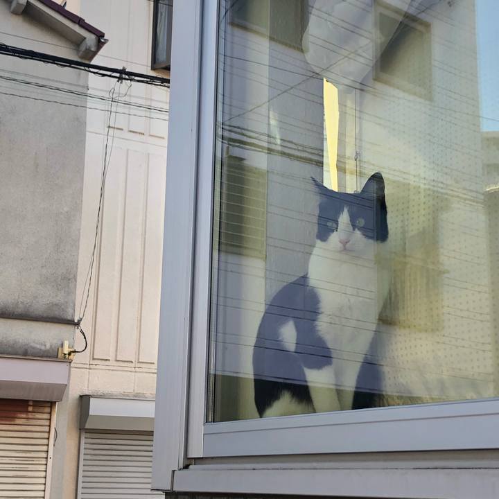 5f355183 a0f3 433e 9bef b3db51f8dea1 1583135101876