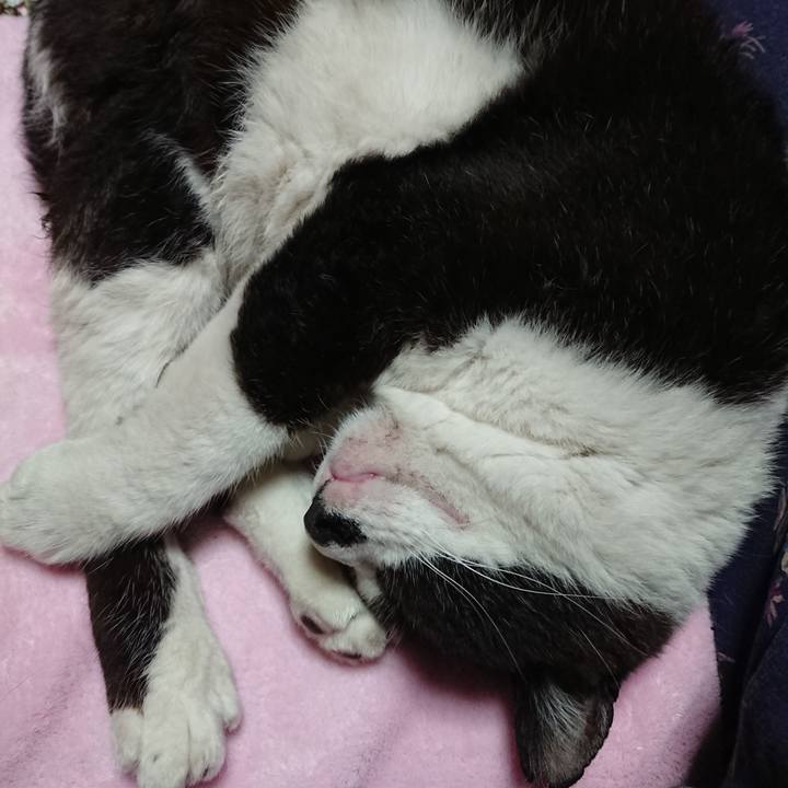 5f35c6f8 7b29 448b a003 8ef124efb213 1654514817216