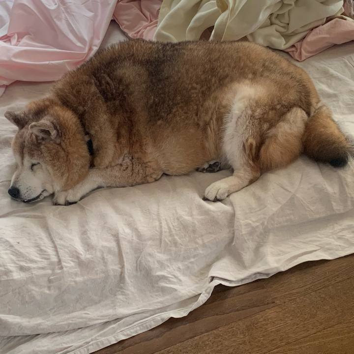 5f35cbaa 8e46 4daa bbb4 867325906cf2 1654909097781