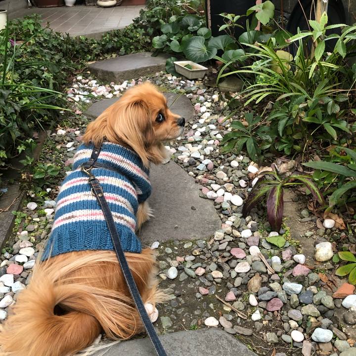 5f35e160 39d7 456c b0c2 6fad05252c03 1550279641454