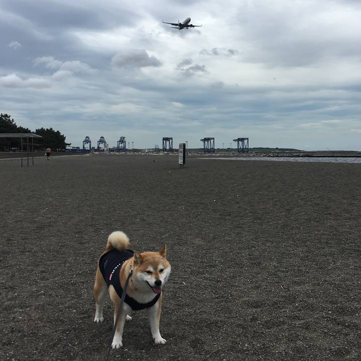 5f35ea26 263c 4a98 b41a 92b054a69720 1561627335888