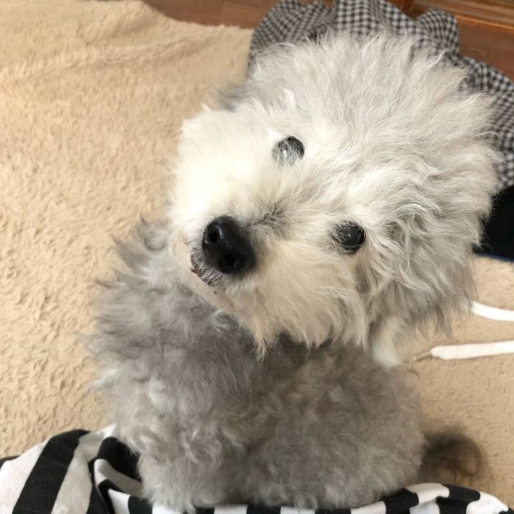 5f36073b 2de9 4137 8d23 cfe7f2880cdf 1621745389405